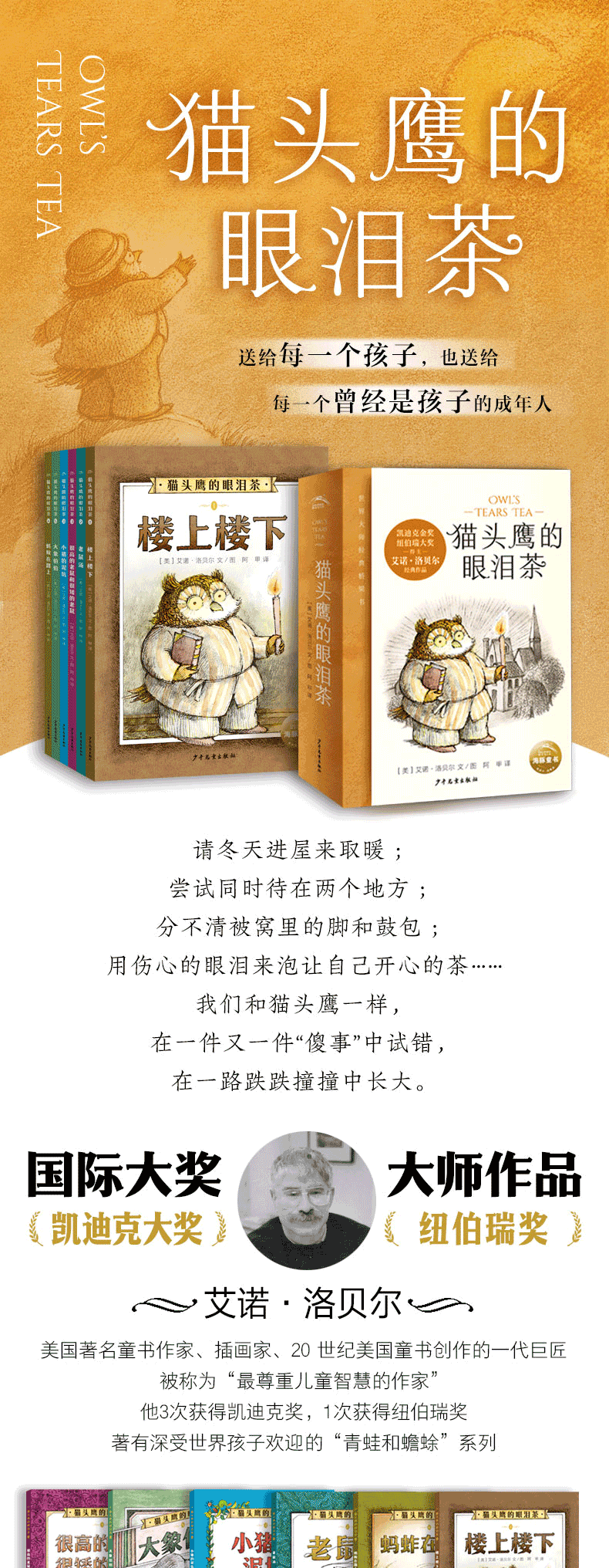 猫头鹰的眼泪茶PPT